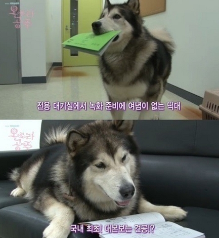 임성한 작가 은퇴, '오로라 공주' 떡대 출연료가 1천만원? '대박'