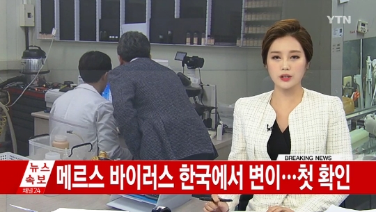 메르스 바이러스 한국에서 변이
출처:/ YTN 뉴스 캡처