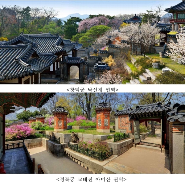Photo Image