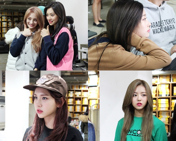 출처:/ 팬콧