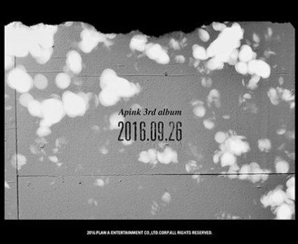 출처:/ 에이핑크 SNS