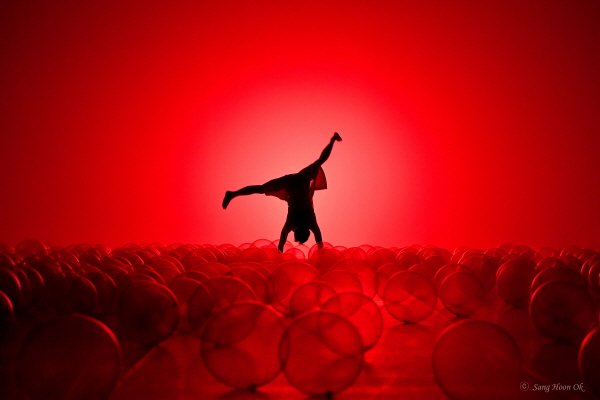 ‘비밀의 정원’(장은정무용단) 공연사진. 사진=한국무용협회, 옥상훈 제공