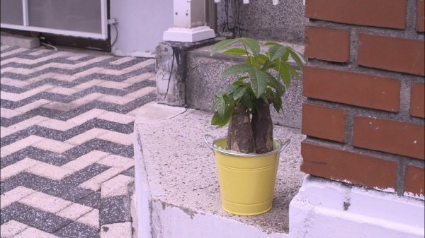 ‘안개는 걷히고’ 스틸사진. 사진=서울독립영화제 제공