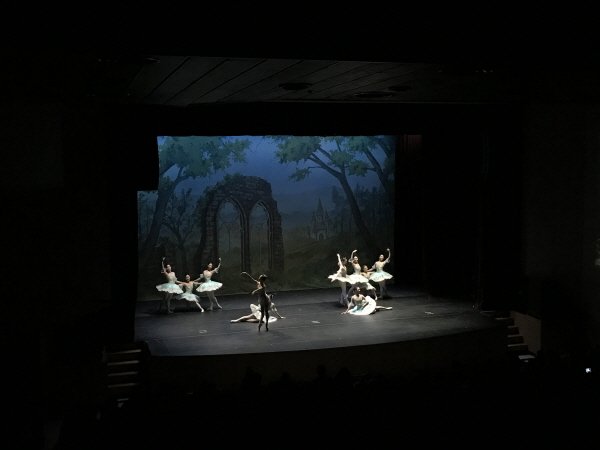 ‘콩닥콩닥 발레야 놀자’ 공연사진. 사진=강남문화재단 제공