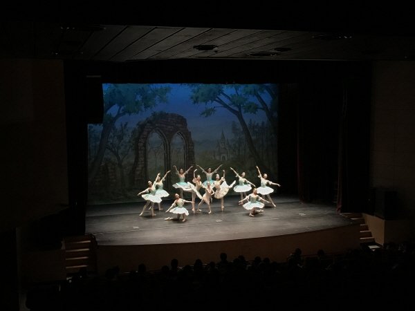 ‘콩닥콩닥 발레야 놀자’ 공연사진. 사진=강남문화재단 제공