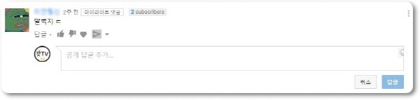유튜브 ‘갓TV’ 채널에 달린 인신공격성 악플. 닉네임은 개인정보 보호를 위해 모자이크 처리. 사진=유튜브 갓TV 제공