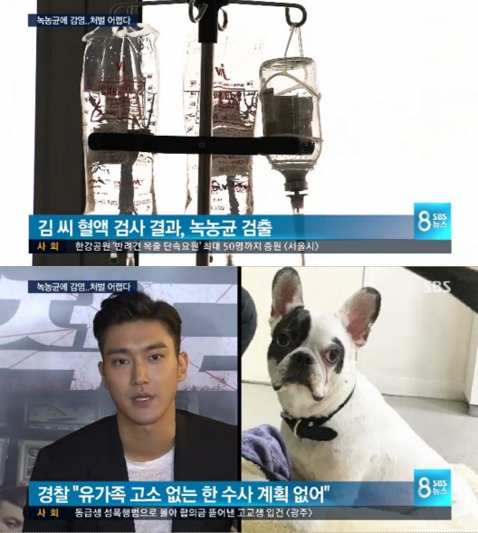 사진=SBS캡쳐