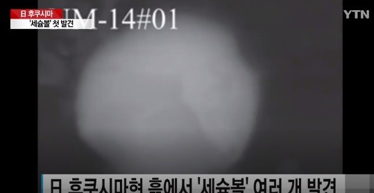 (사진=YTN 캡처)