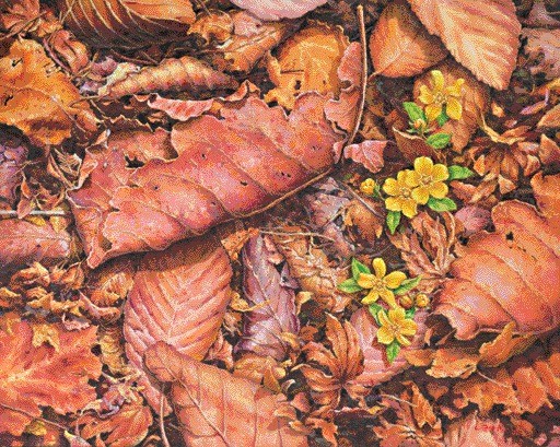 ‘호기심 - 1, 91×72.3cm, Oil on canvas, 2010’. 사진=이기옥 제공