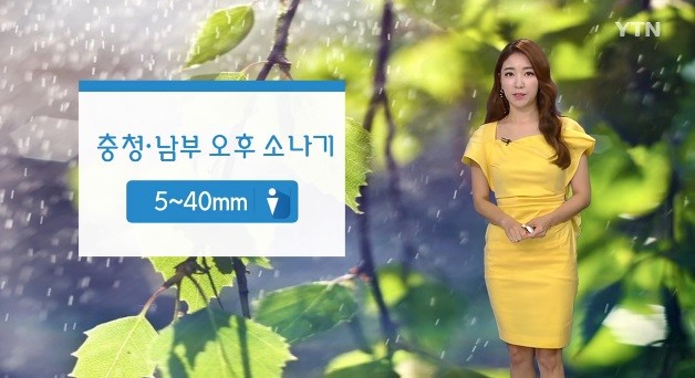 사진=YTN 방송화면 캡처