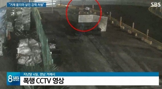 사진=SBS 방송화면 캡처