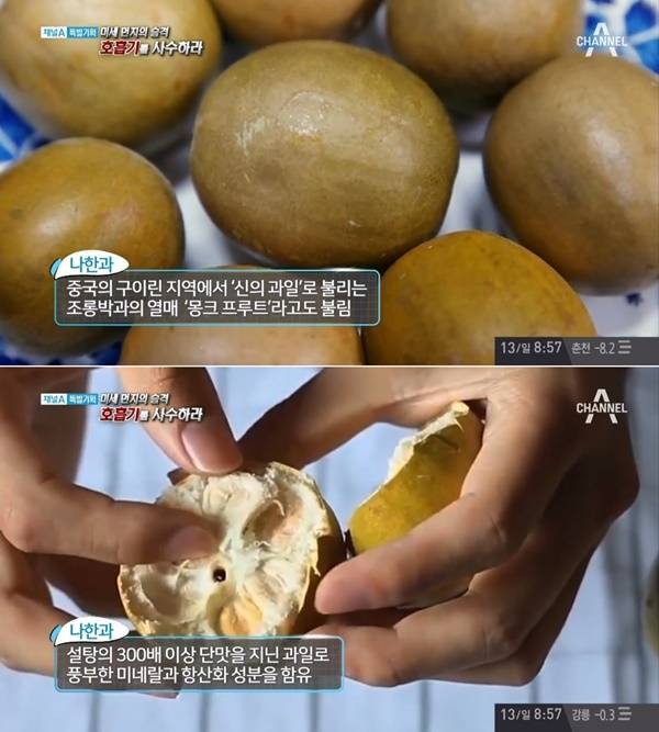 사진='특별기획' 방송화면 캡처