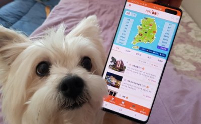기사 썸네일