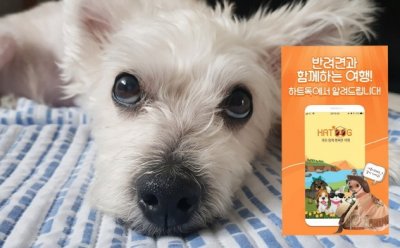 기사 썸네일