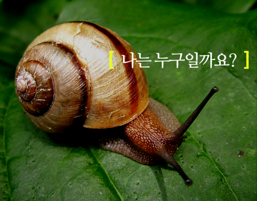 물의 특징을 담은 영상 ‘나는 누구일까요 &#8211; 달팽이 편’ 썸네일. 사진=아이스크림미디어. 


