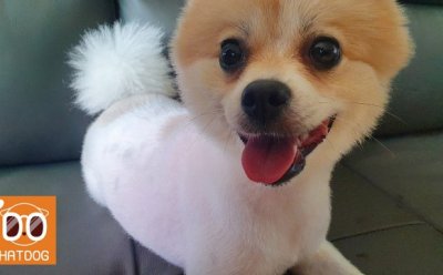 기사 썸네일