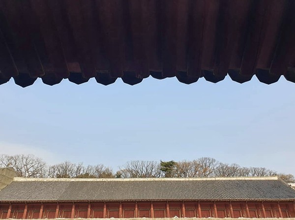 최철호 소장과 함께하는 우리동네 방방곡곡(27)