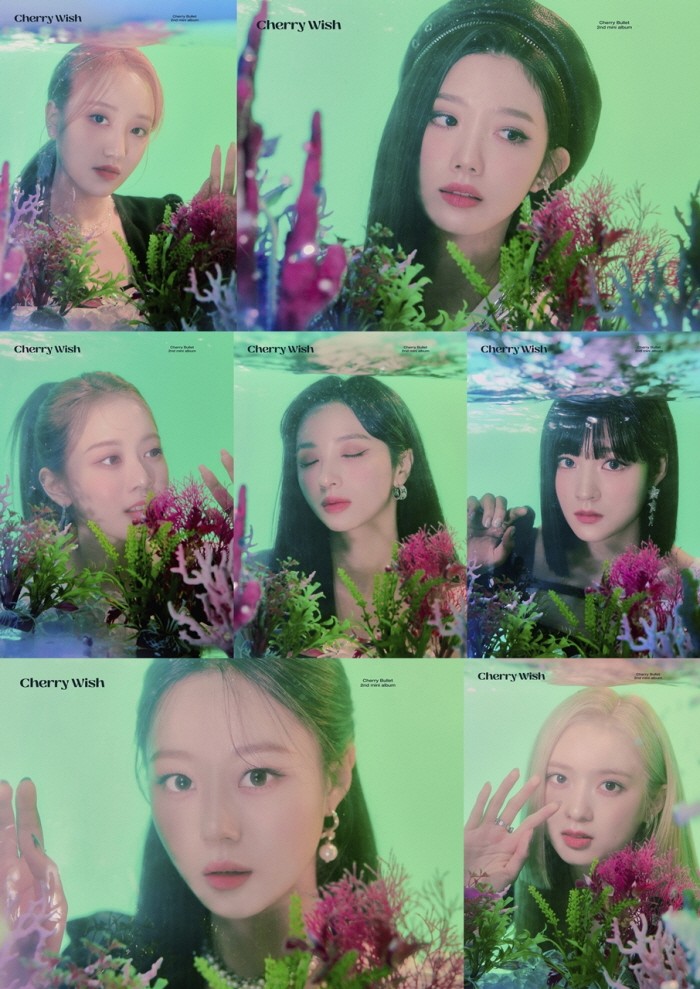 사진=FNC엔터테인먼트 제공