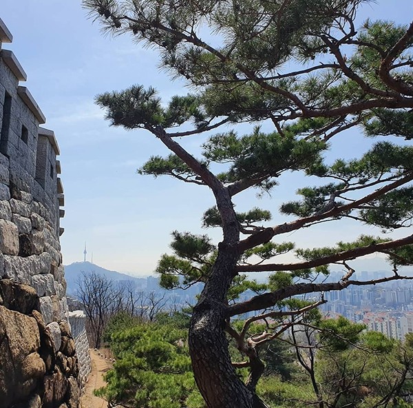 최철호 소장과 함께하는 우리동네 방방곡곡(34)