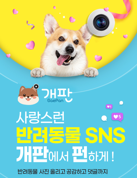 사진=스마트나우 제공