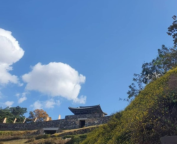 최철호 소장과 함께하는 우리동네 방방곡곡(40)
