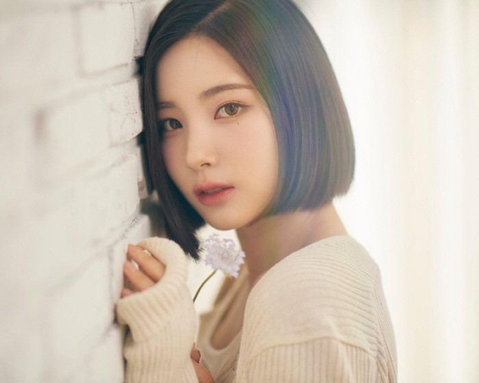 사진=아이오케이컴퍼니 제공