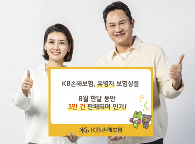 KB손해보험, 유병자보험 한 달간 3만 건 판매