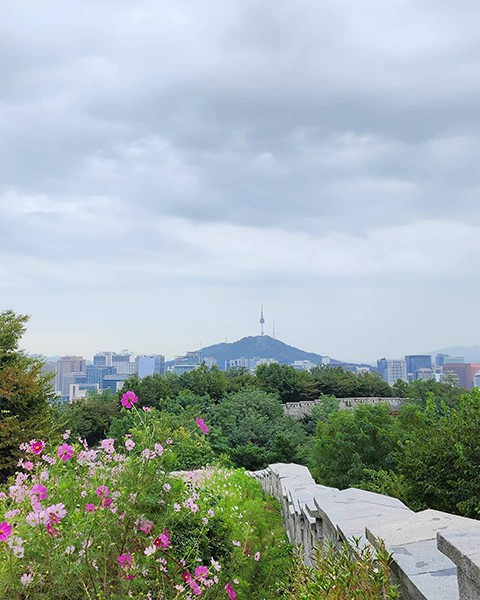 최철호 소장과 함께하는 우리동네 방방곡곡(52)