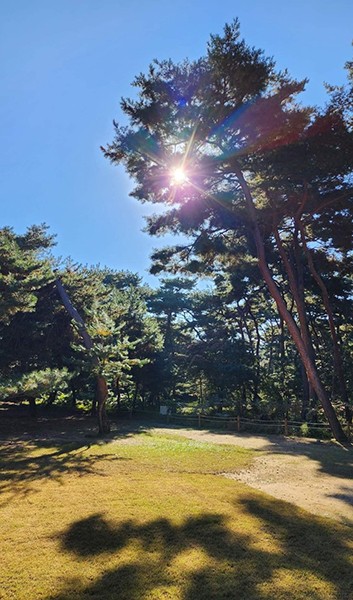 최철호 소장과 함께하는 우리동네 방방곡곡(53)