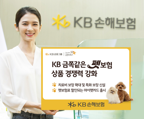 사진=KB손헤보험.