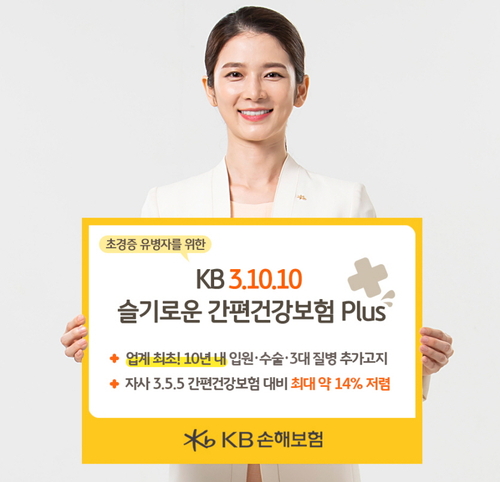 사진=KB손해보험.