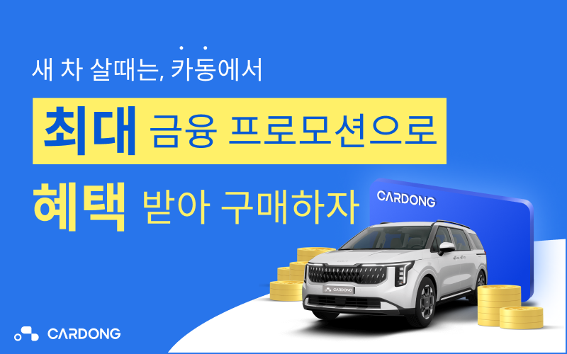 제공:카동