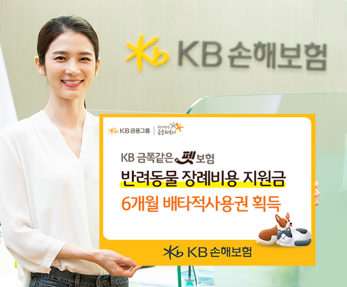 사진=KB손해보험.