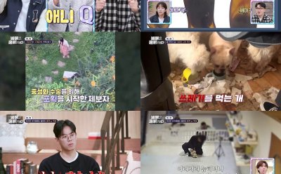기사 썸네일