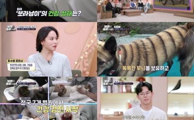 기사 썸네일