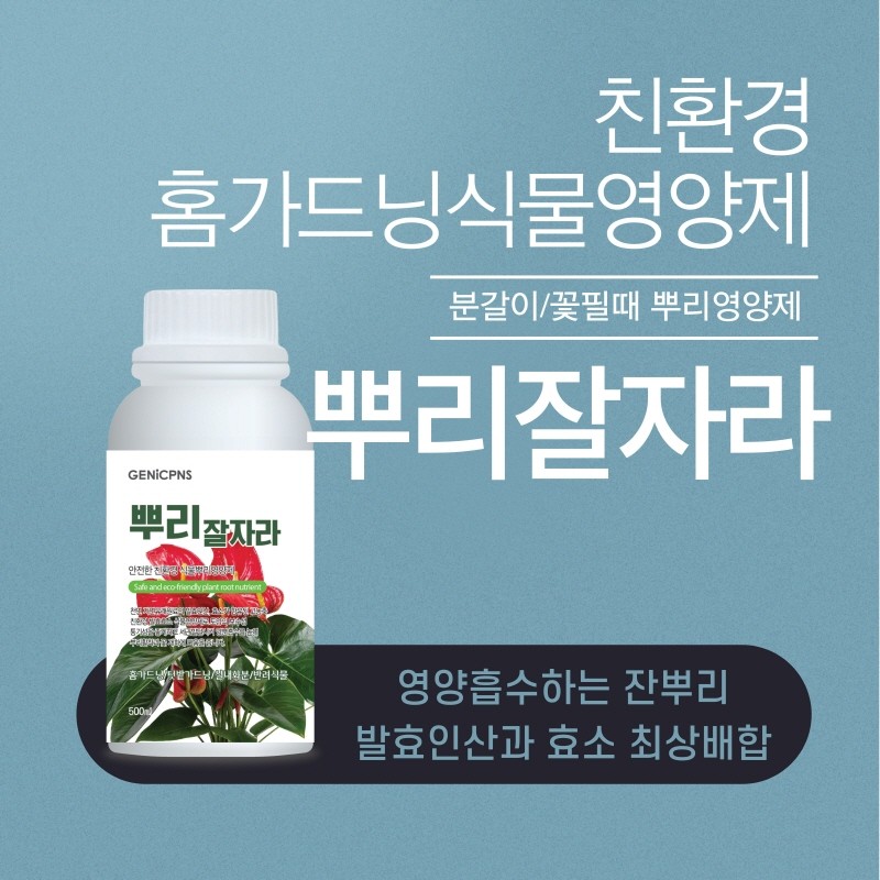 제공:제닉피앤에스